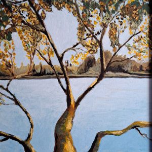 Greenway View Rochestown