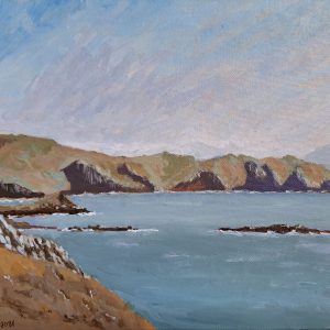 View from Keem Beach